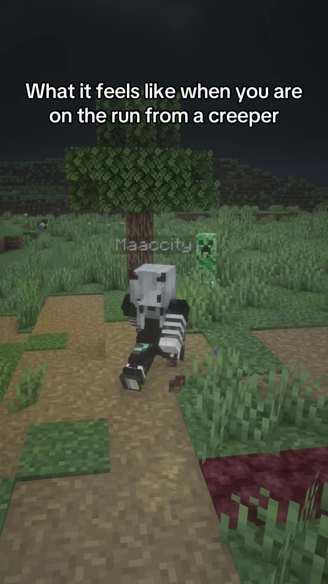 @Maaccity on Twitch