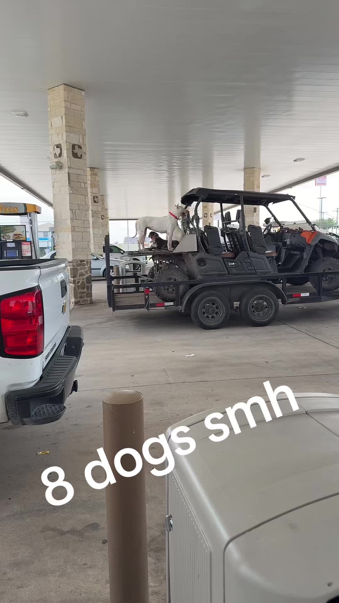 @MICKMARTY