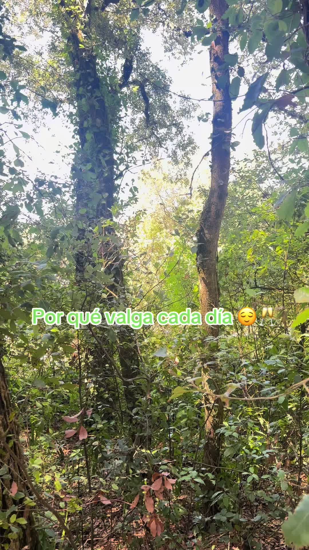 @la Bombona SV 🇸🇻 ⚔️👸🏼💚🐱