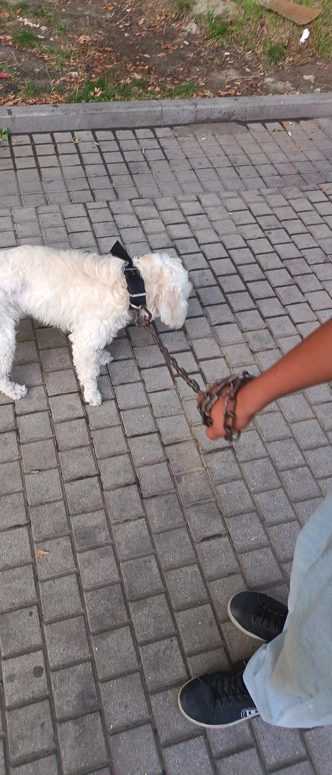 @kend_həyati_041