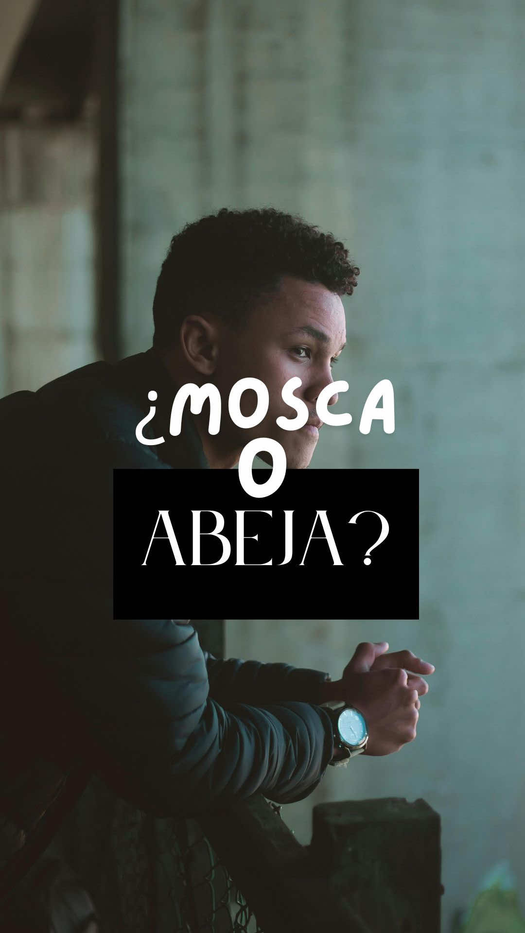 @versionlegendaria_