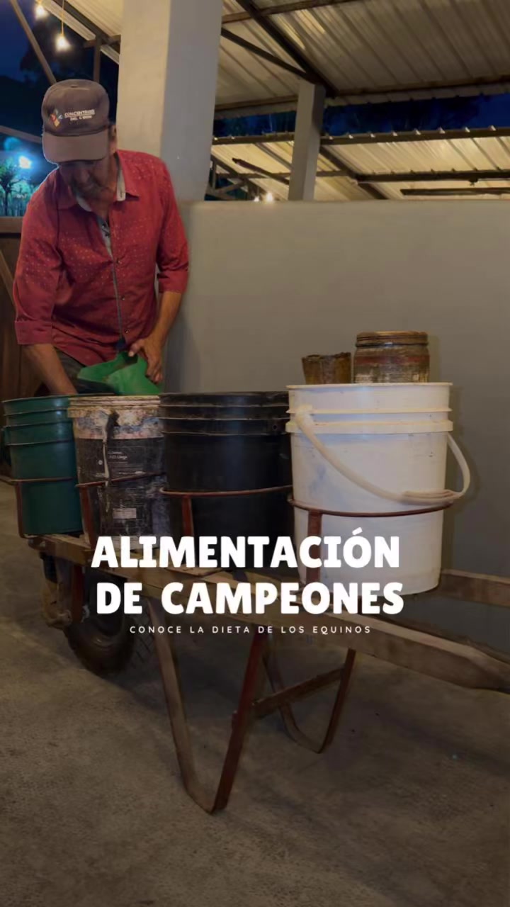 @Rehagronegocios