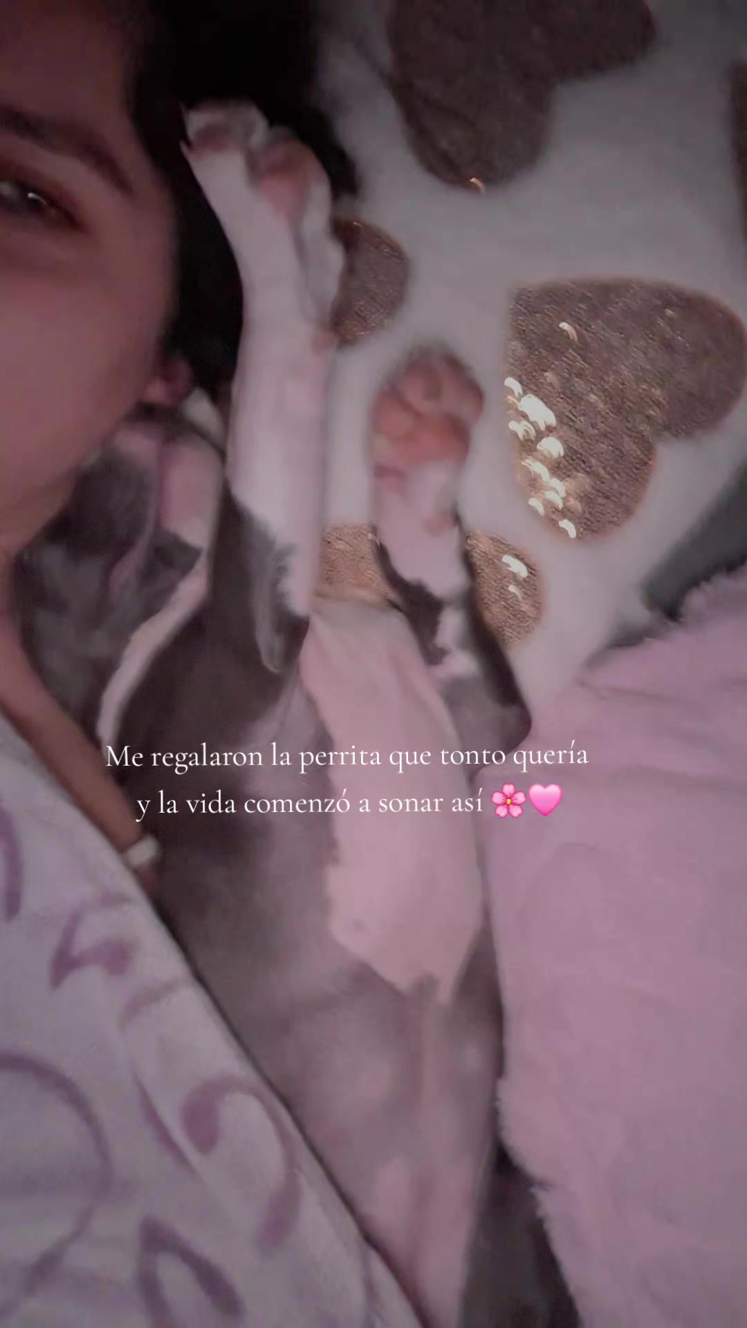 @Sandra Vera
