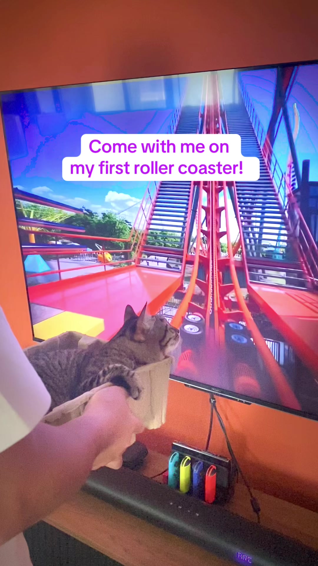 @OnePurrCuddle