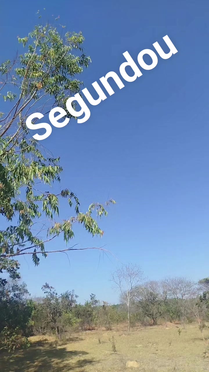 @⚡Ligeirinho M.G 🇧🇷⚡