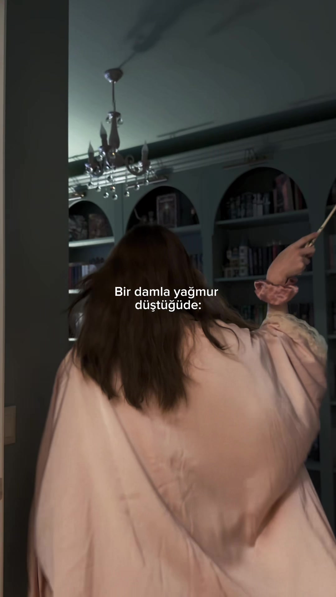 @selinsolaris