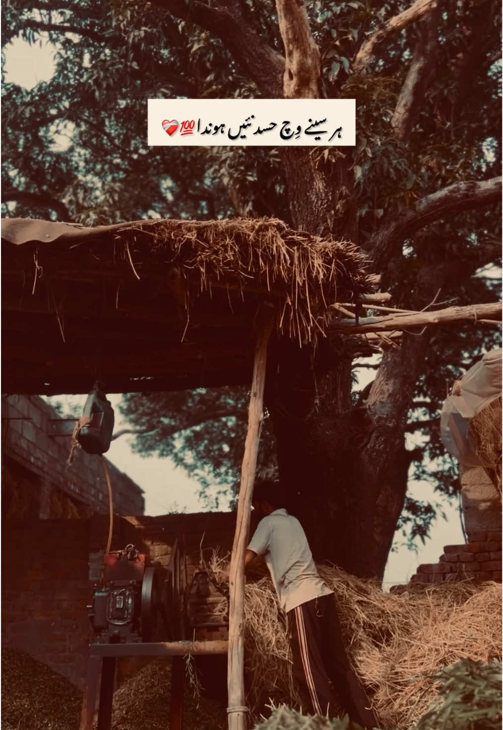 @پنجاب❤️🩹