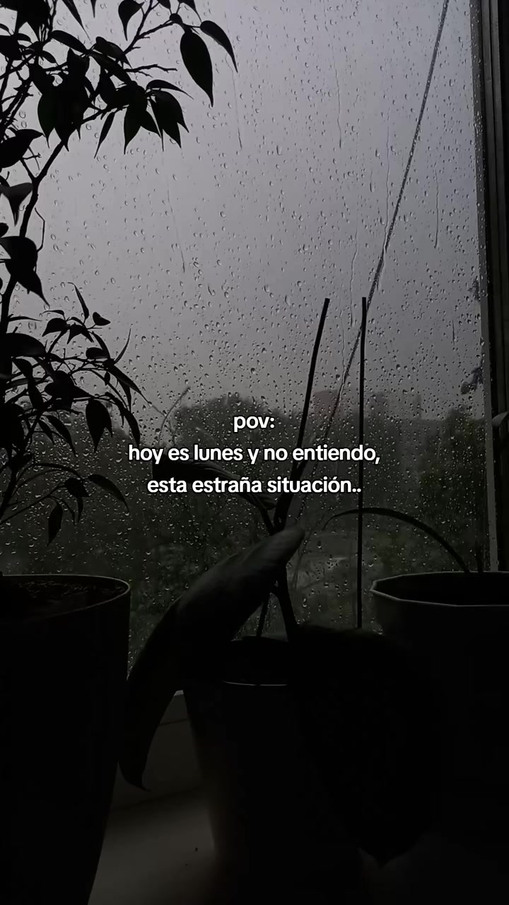 @rolitas ❤️🎵🎼