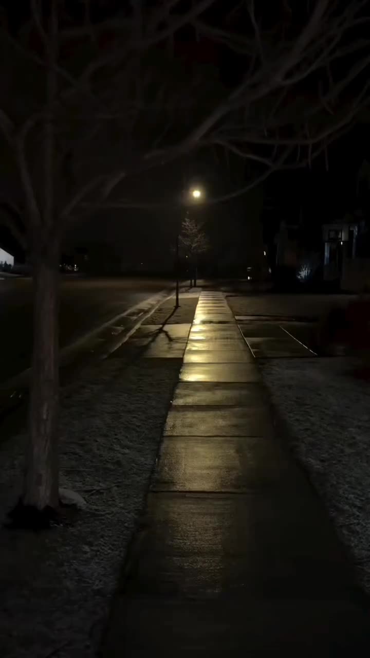 @𐙚˚࿔ 𝐒𝐔𝐍𝐅𝐋𝐎𝐖𝐄𝐑