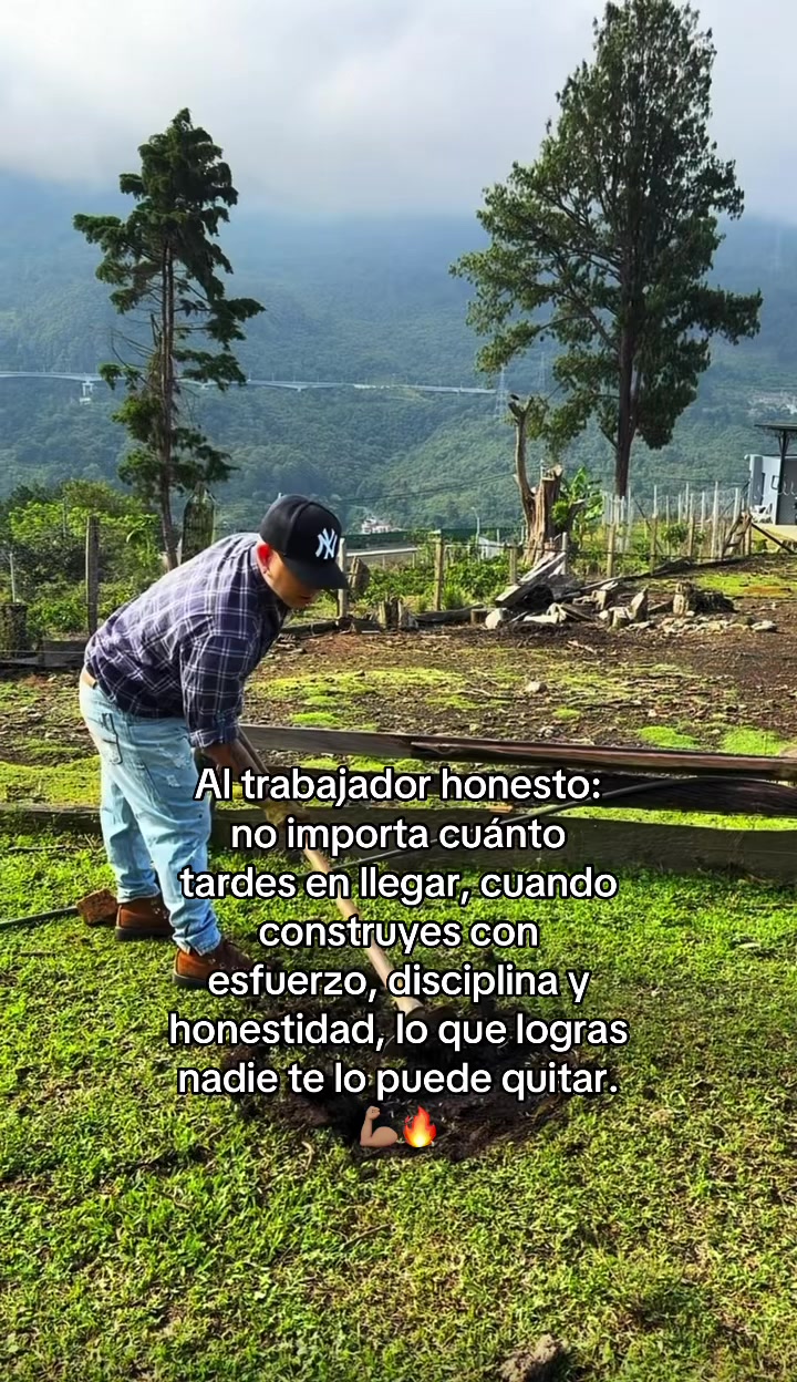 @Yosoyarionoficial
