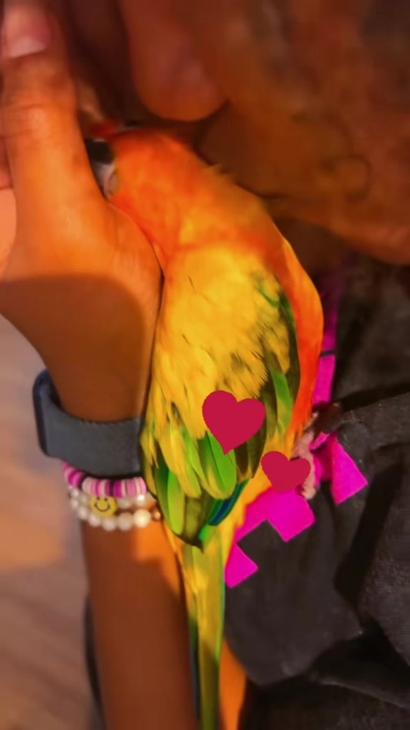 @Suncheepo🦜
