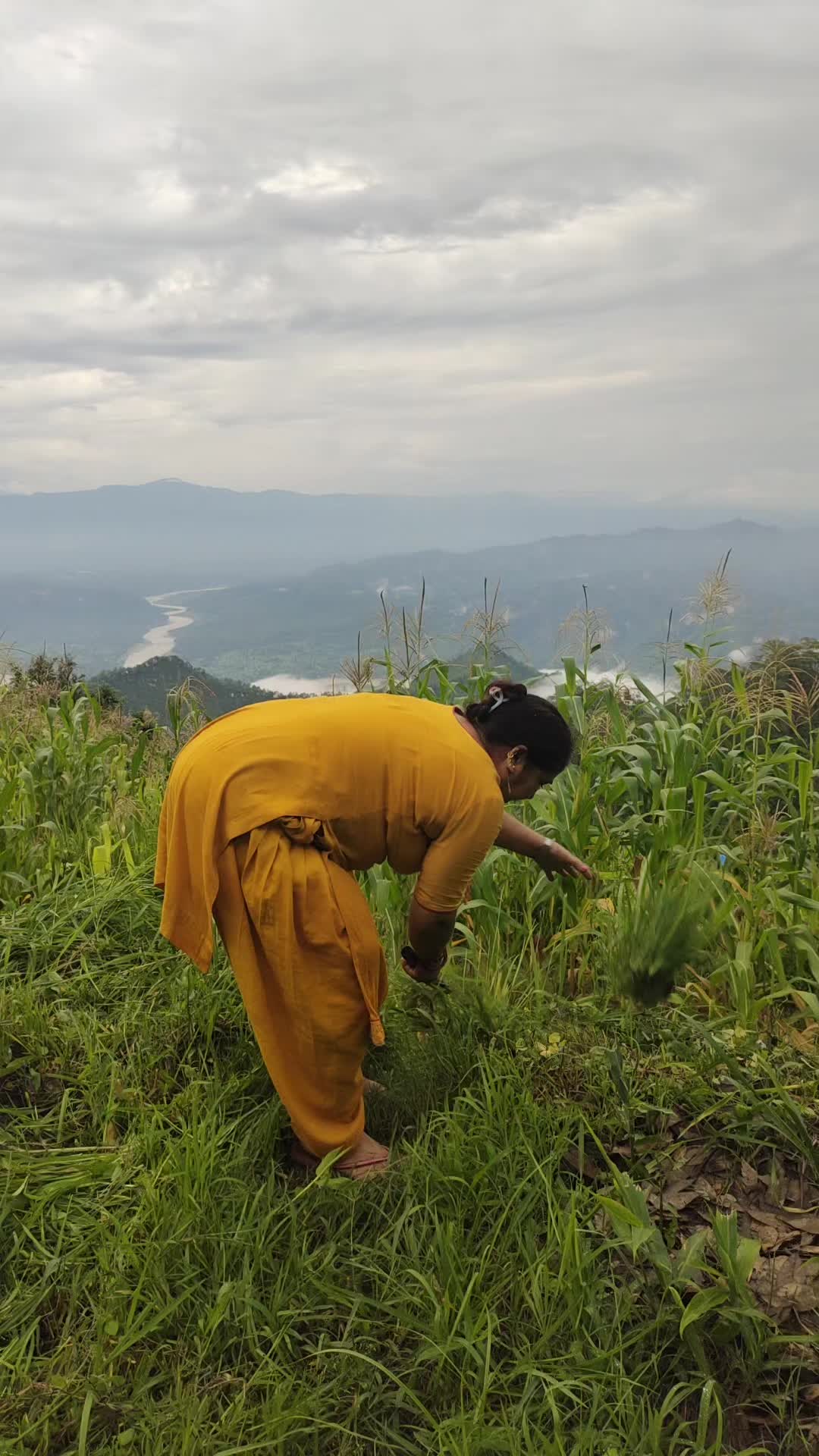 @amrita khadka oli