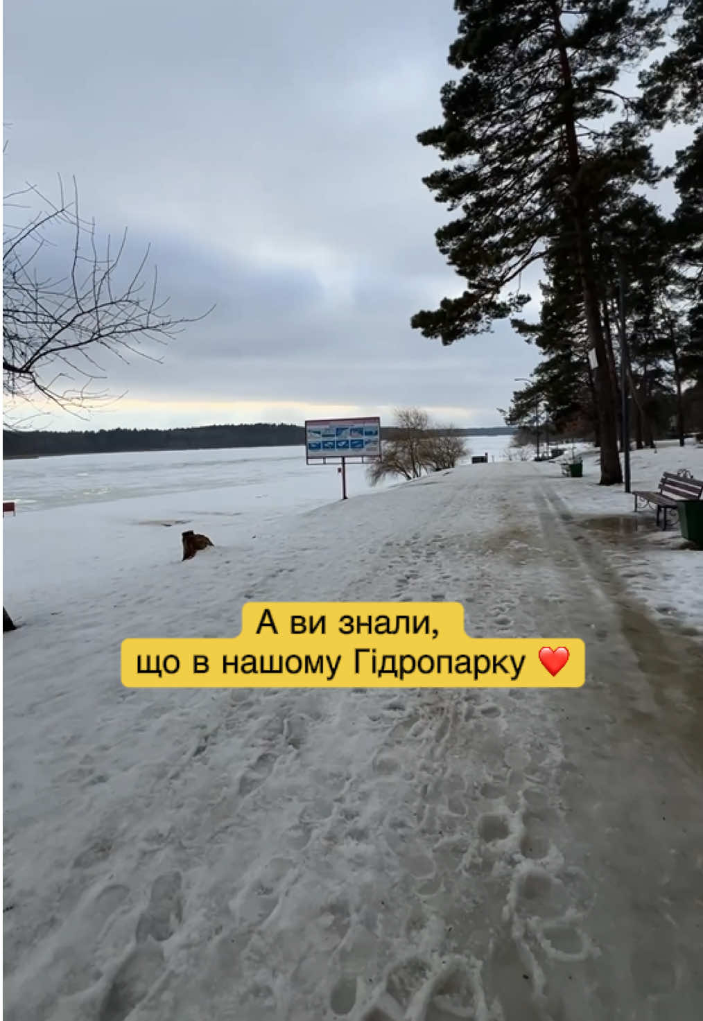 @цех884