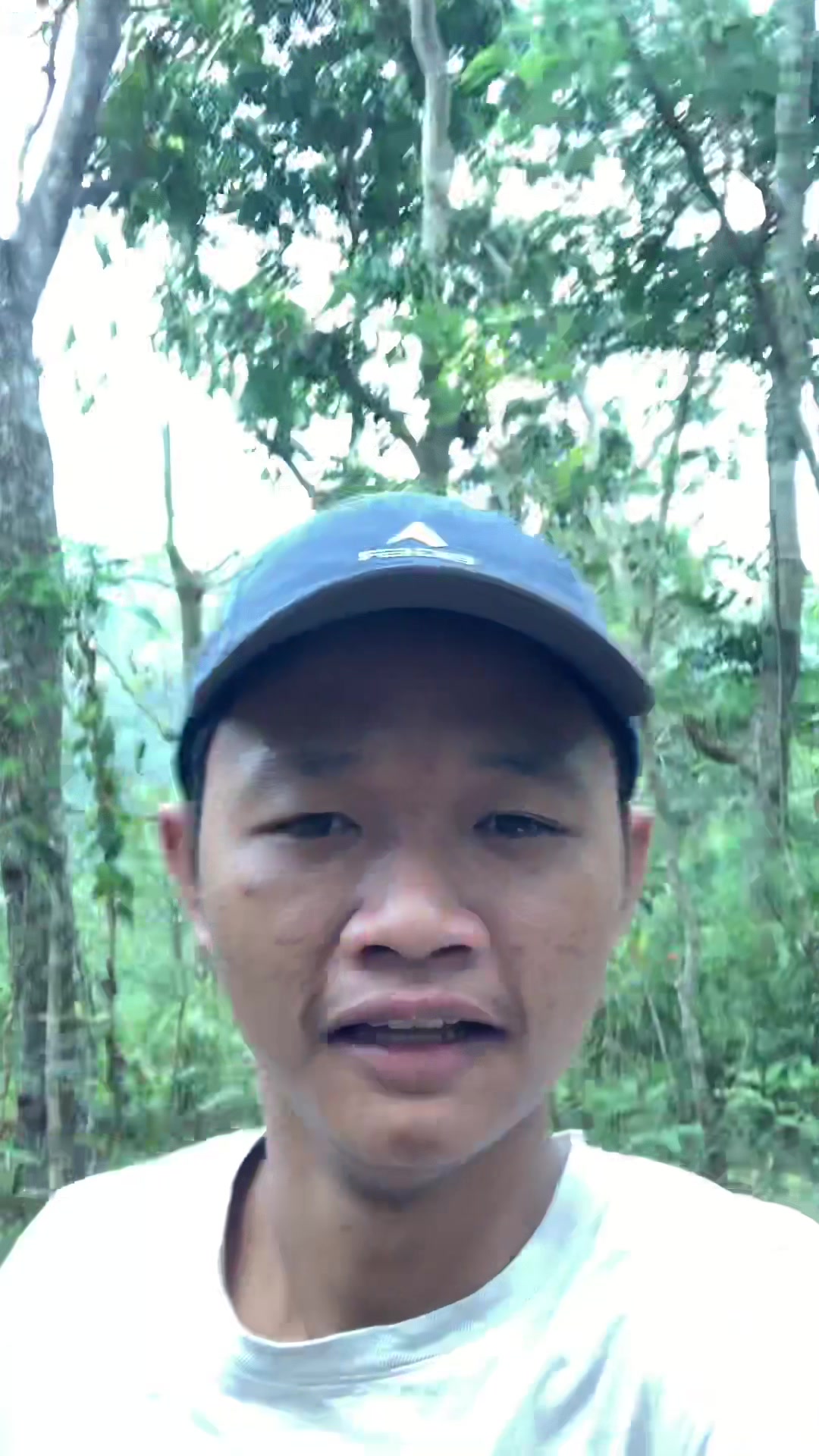 @dapa