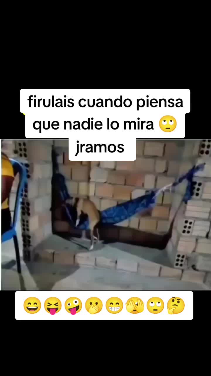 @jramos988tijuana