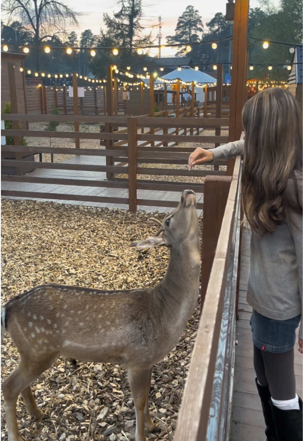 @savvateika🧁🦌