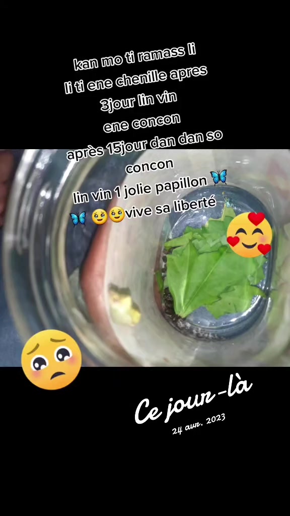 @B&Euml;LL&Acirc; 🫣🥰