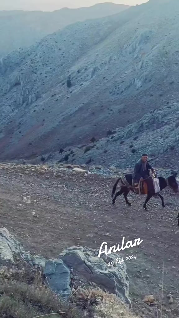 @DAĞCI.46