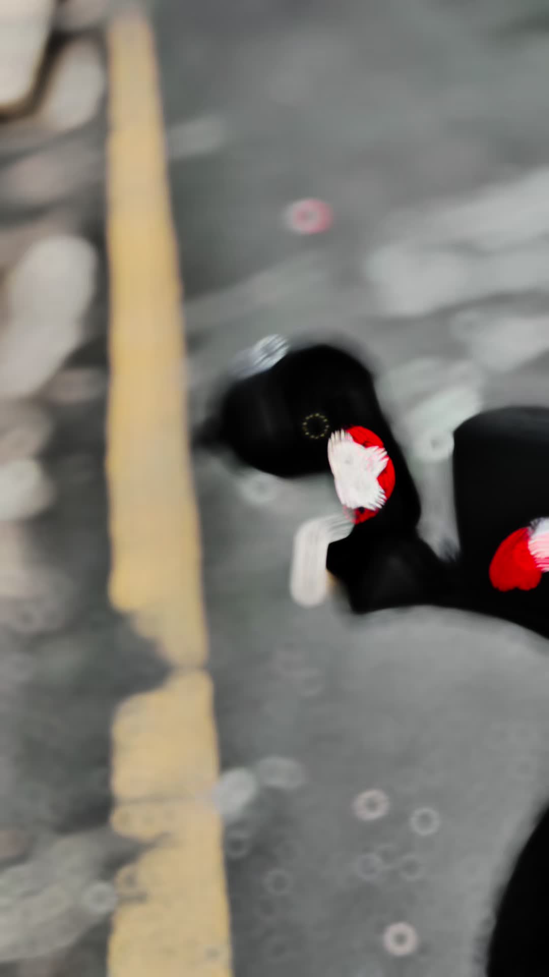 @ŴÄҨÄŚ.___.