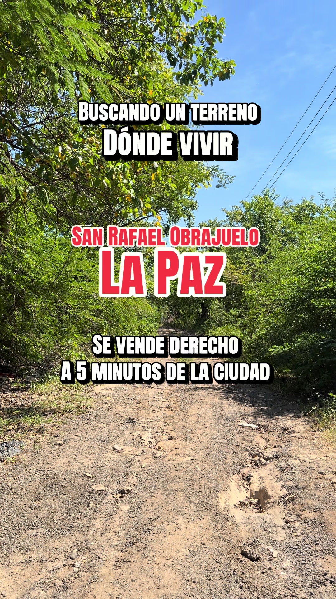@Marco Ortiz🧸