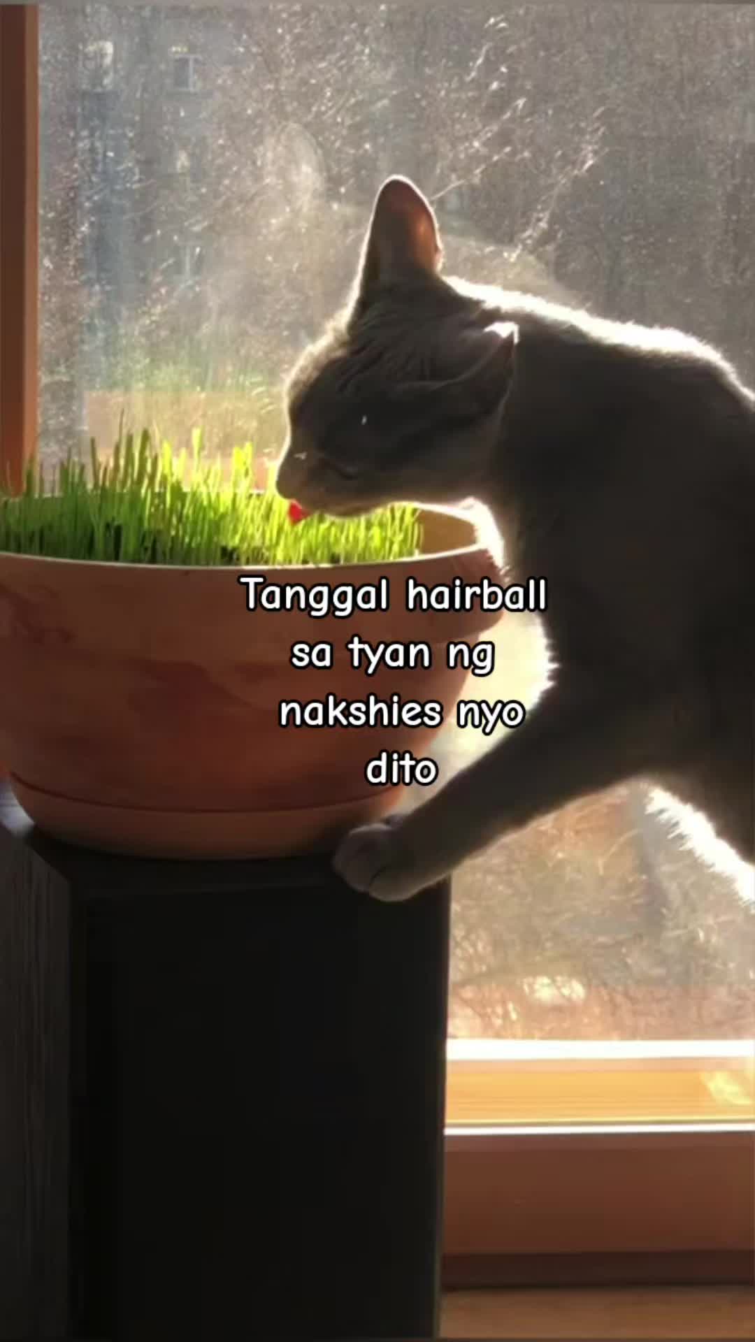 @mommy jhones