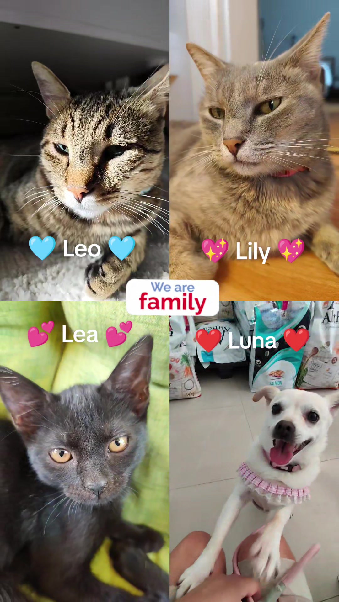 @❤️𝕃𝕦𝕟𝕒 𝕃𝕚𝕝𝕪 & 𝕃𝕖𝕠💙