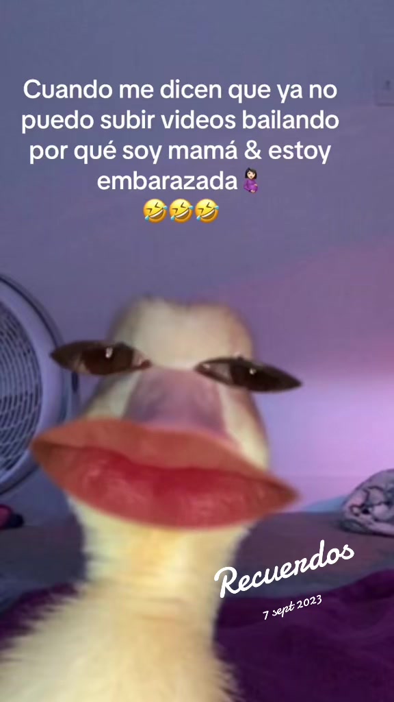 @Selene Diaz Silva