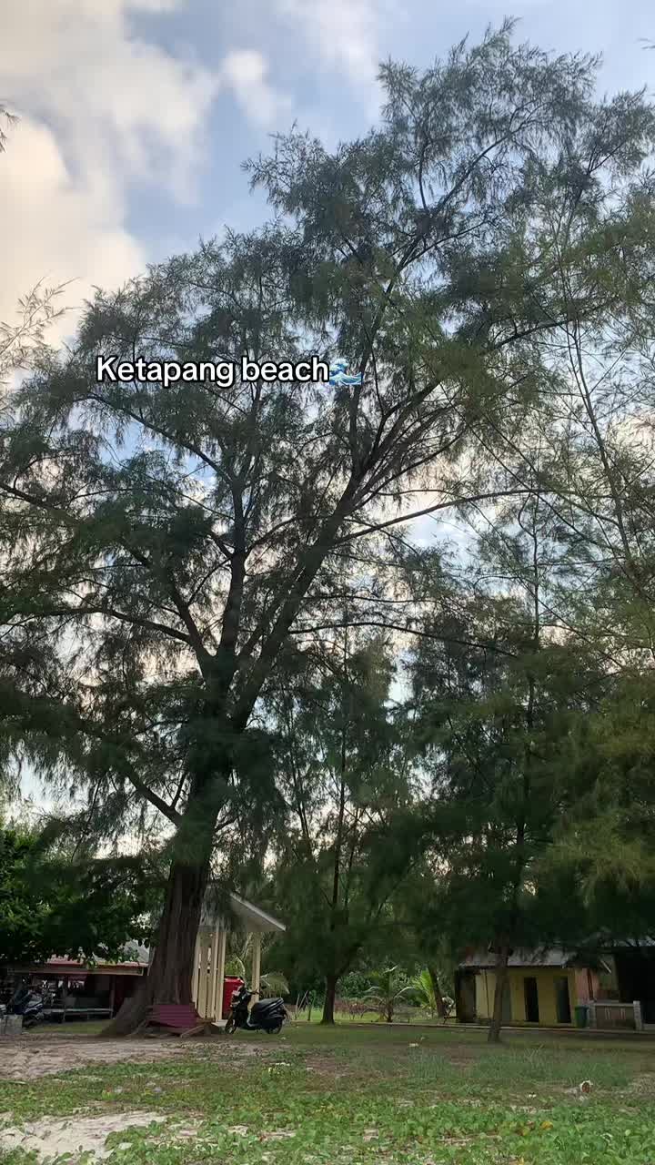 @Nur🌷