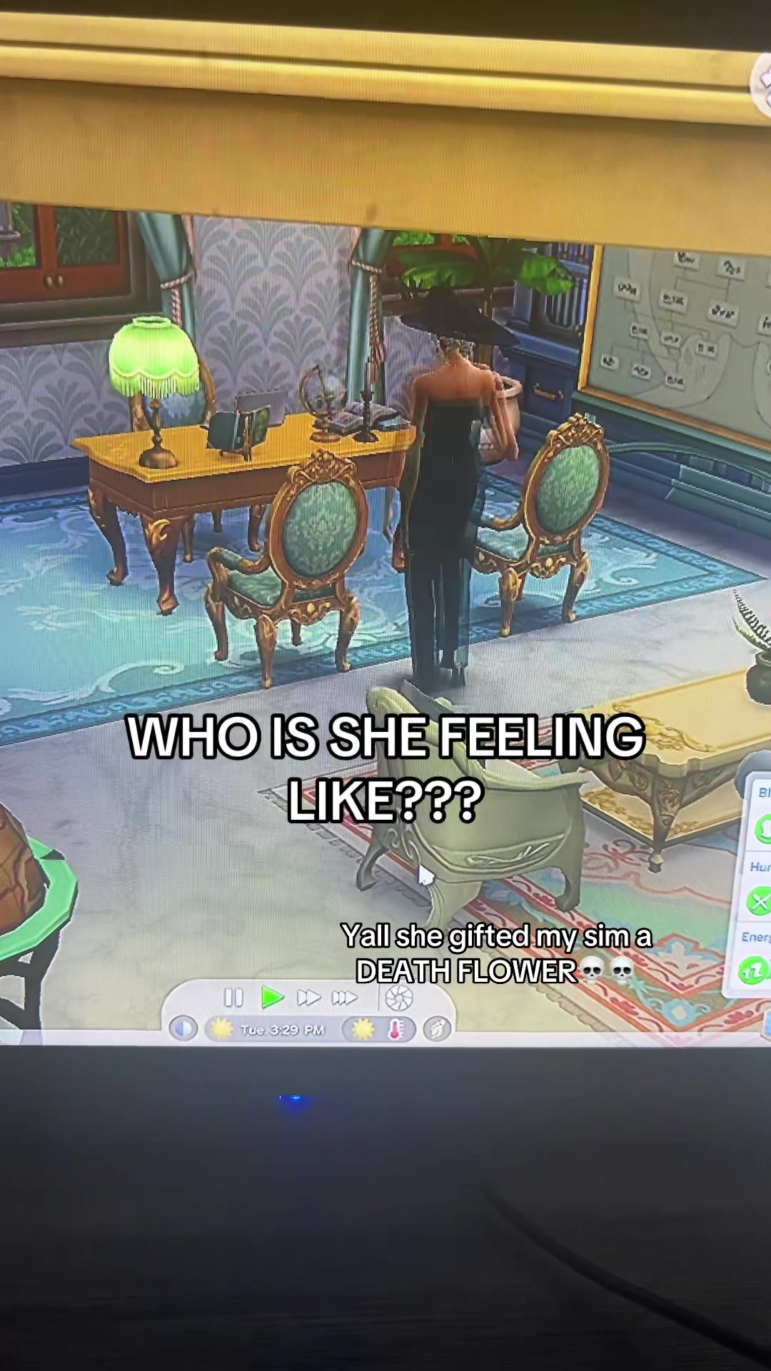 @SimsPlaySims