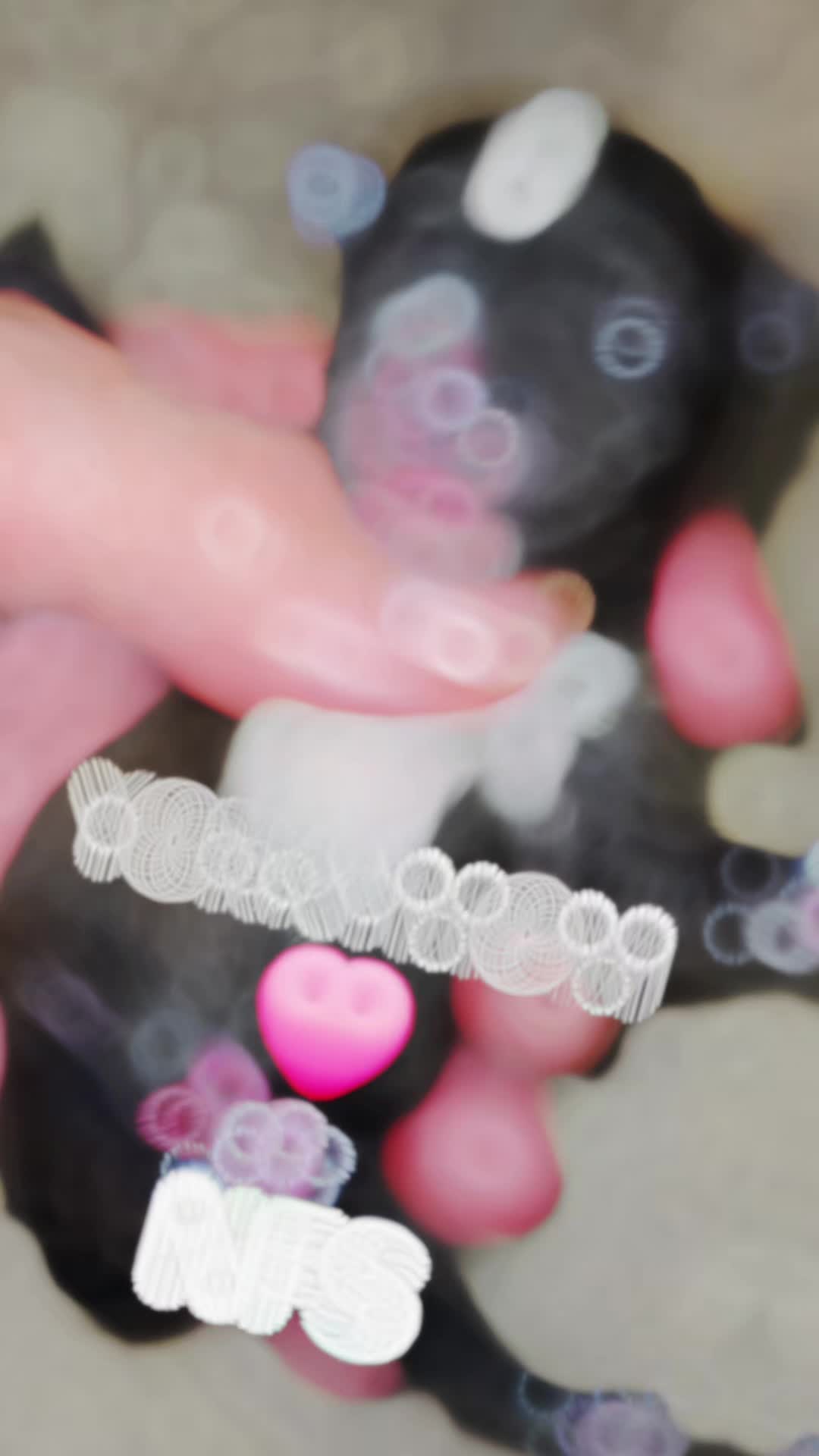 @theYorkymom