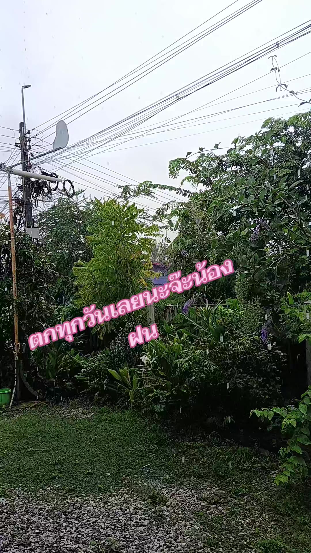 @pranee