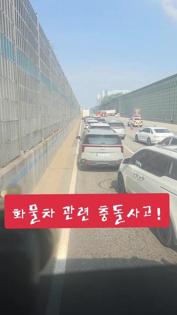 @🌺시라소니[본]🌺