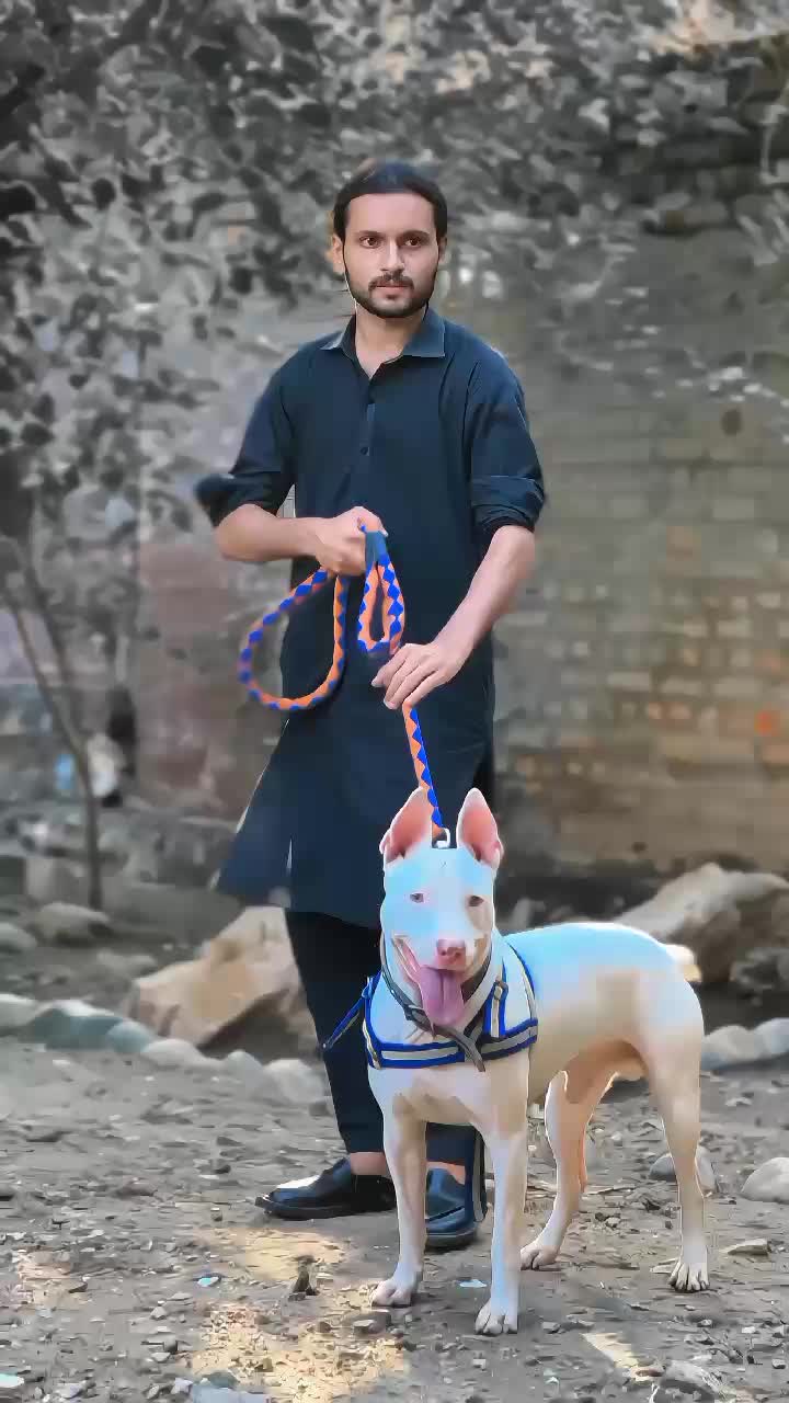 @آویز💸