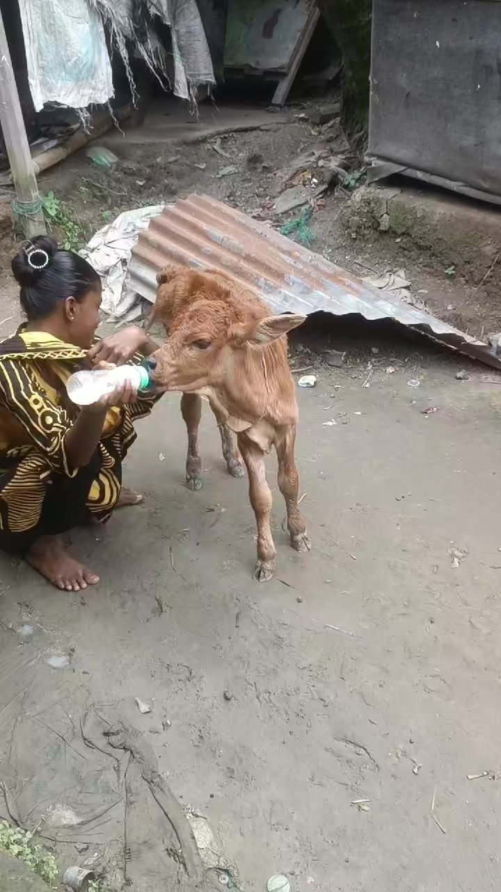 @আকলিমা আক্তার9999