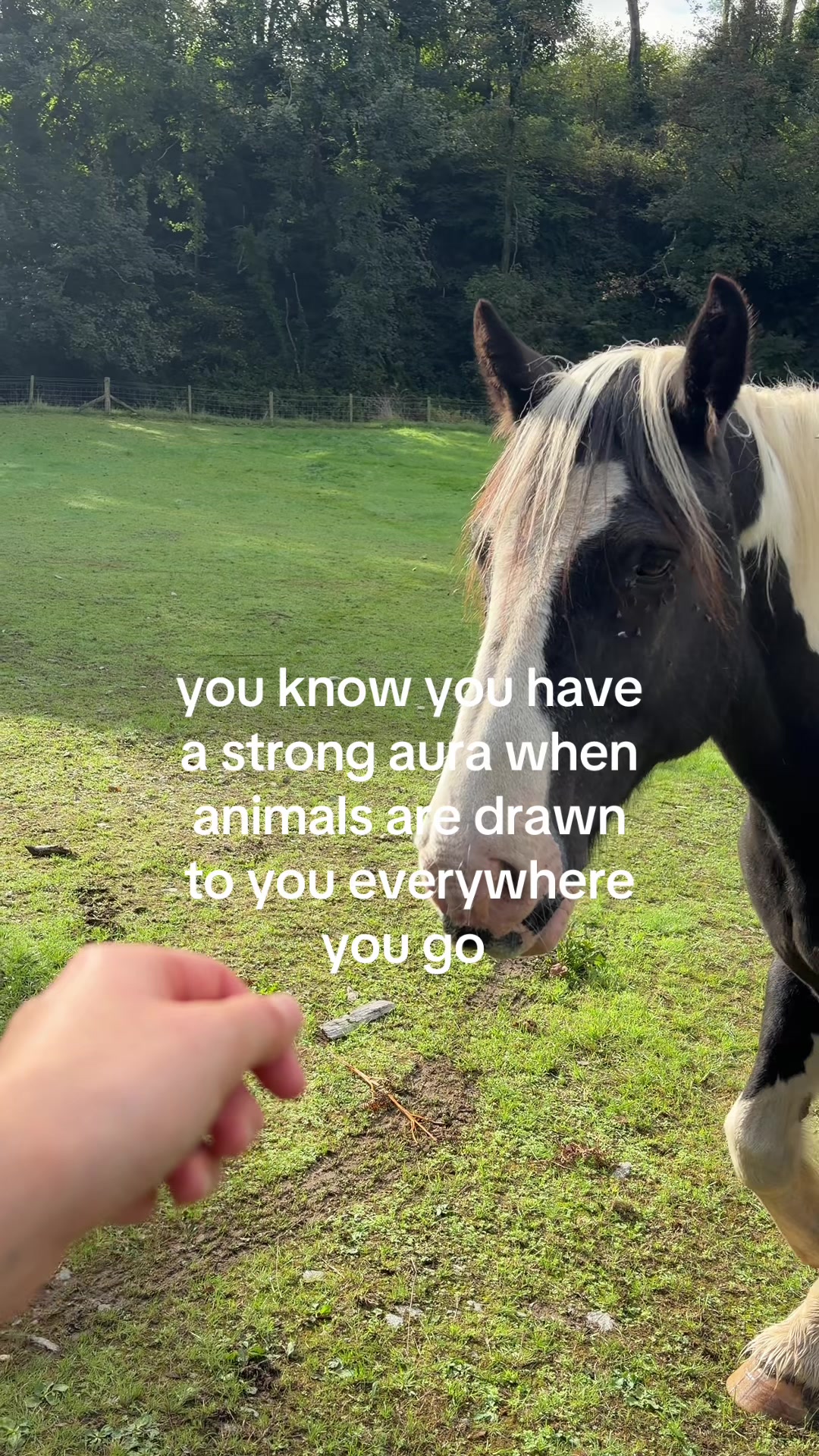 @Holly Larkham