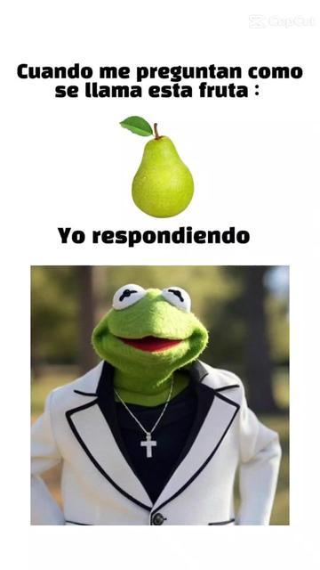 @pachoncito🇲🇽🇲🇽🇲🇽