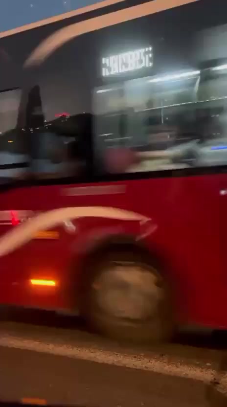 @🤍🐆