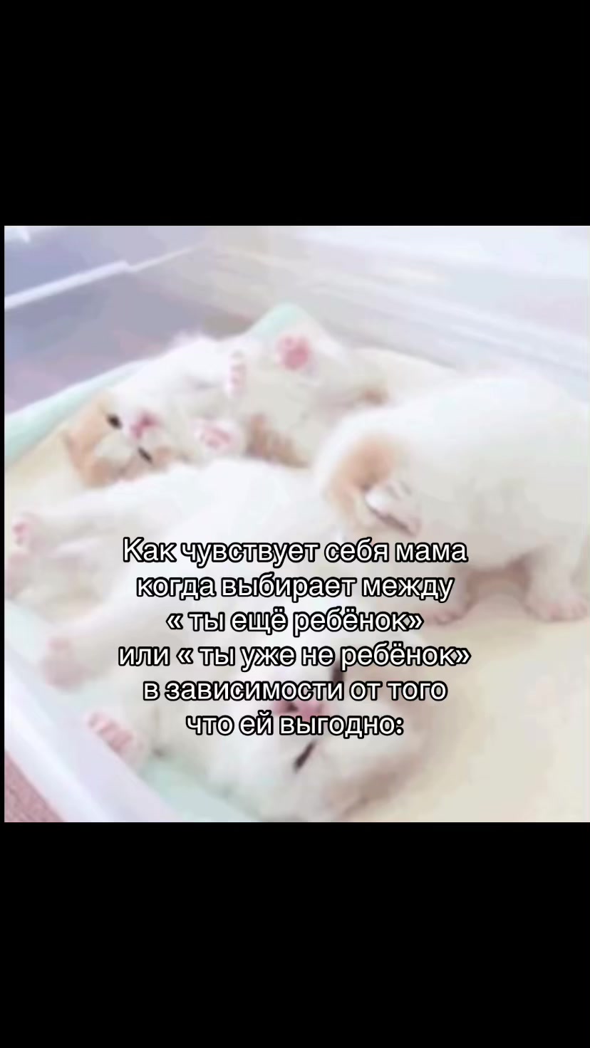 @Амбер