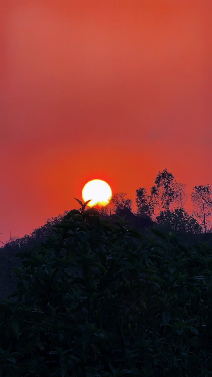 @(لونگین بابک)