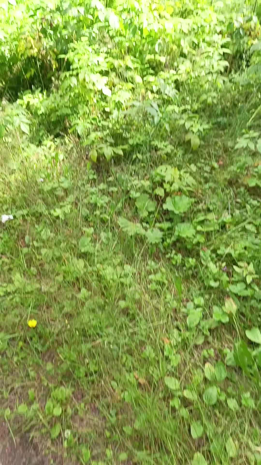 @мучачо