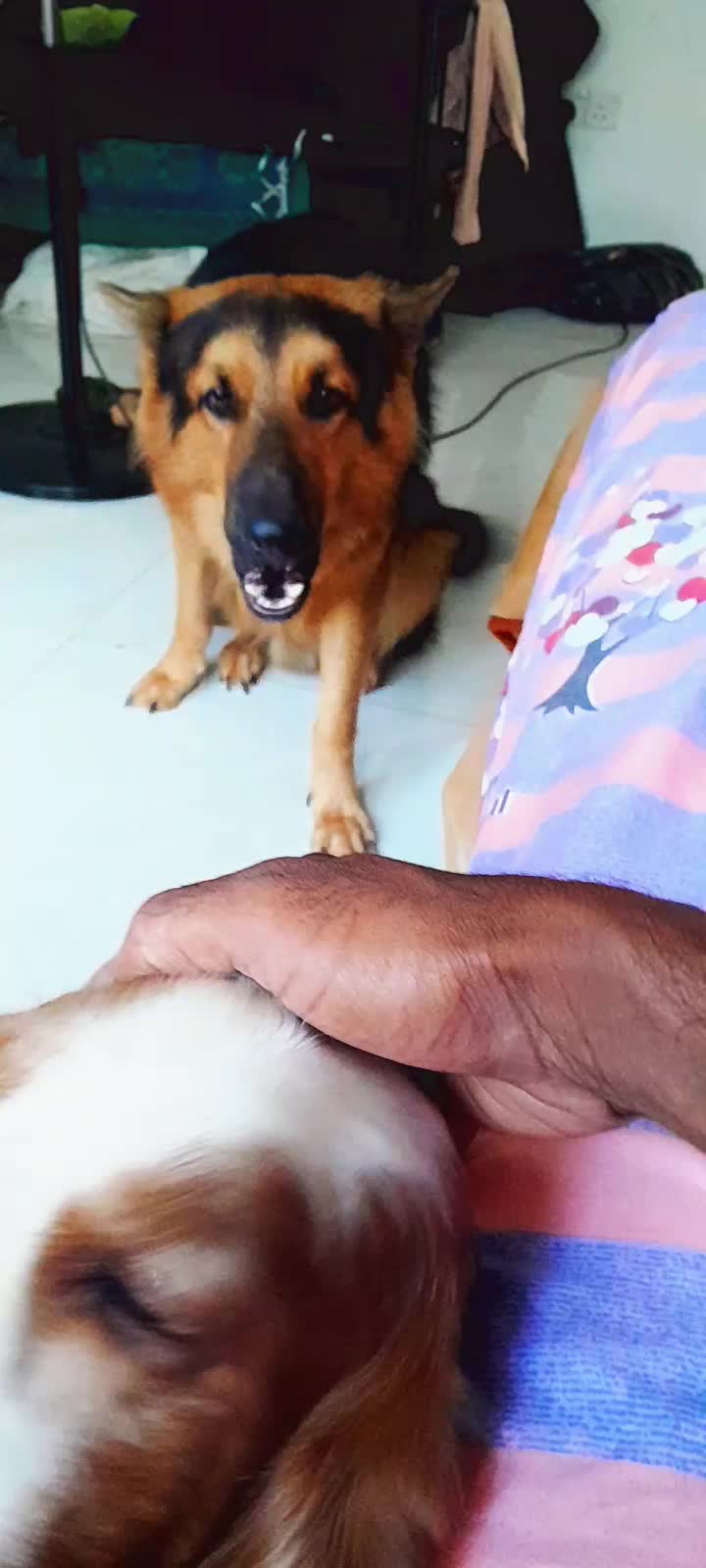 @🤘මචං ශේහා 🤘