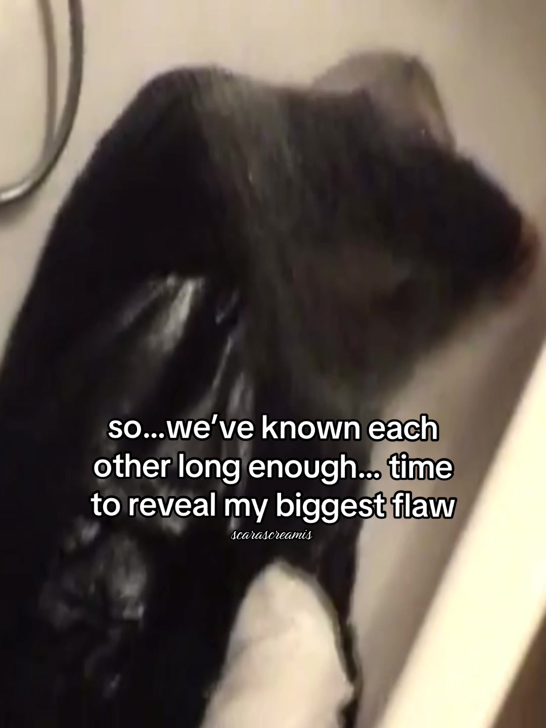 @scarascreamis