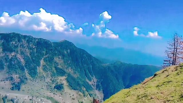 @🌳balijakpkohistan55055🌳