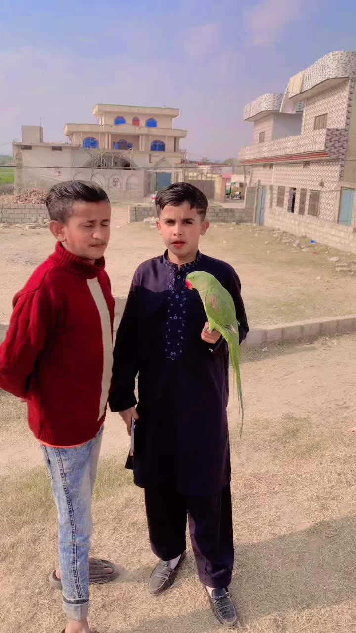 @donayagujratwala