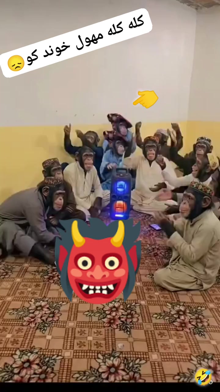 @مـــلــنــــګ جــــــان