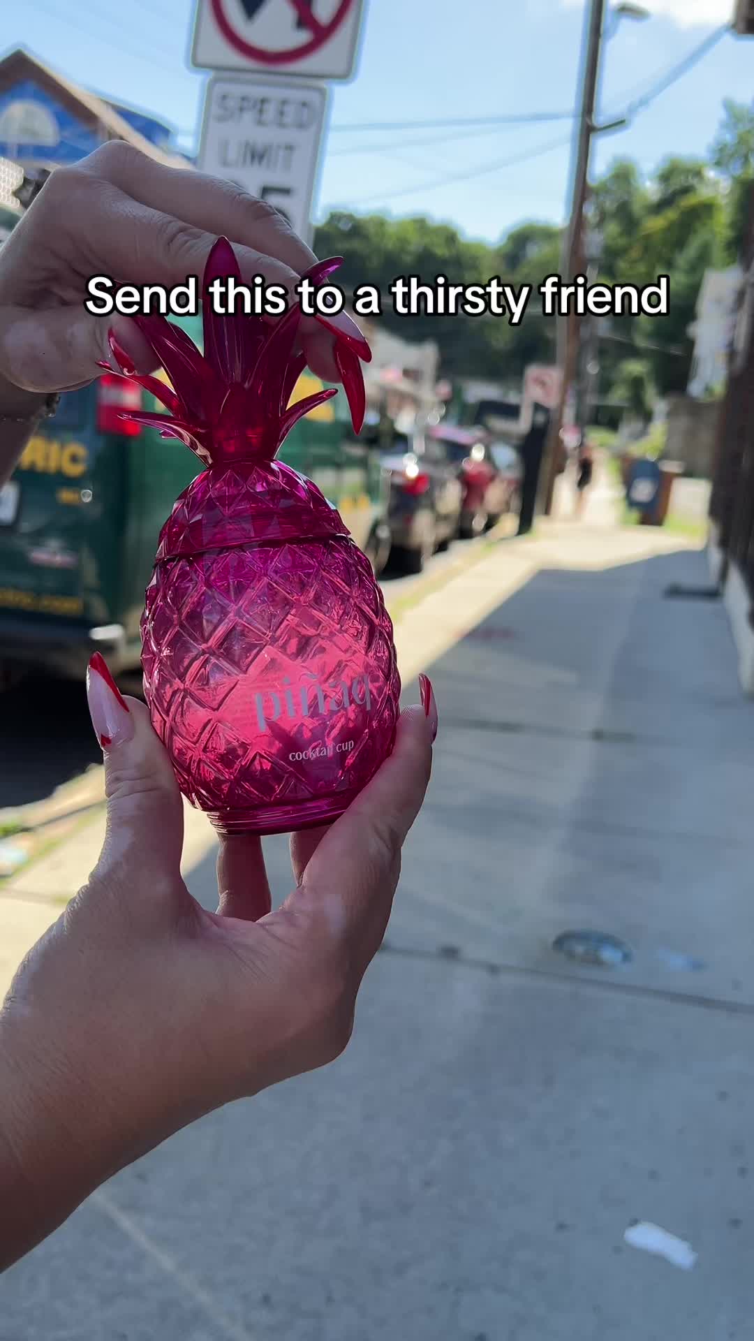 @pi&ntilde;aq