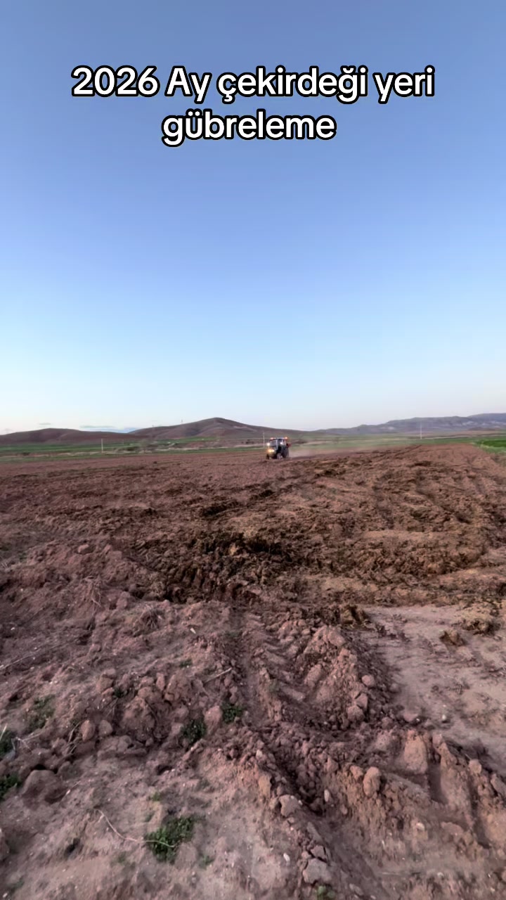 @Ferhat Arısoy