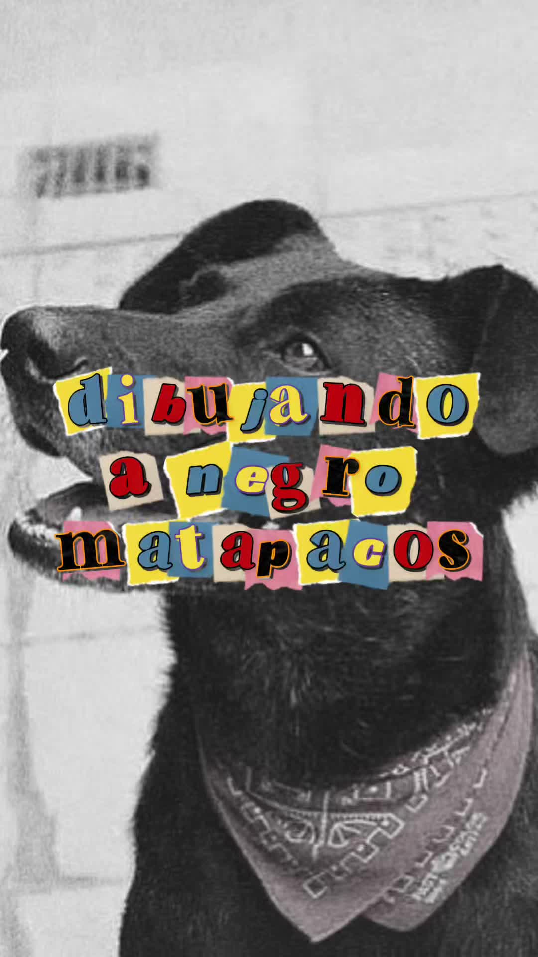 @dani ⚢