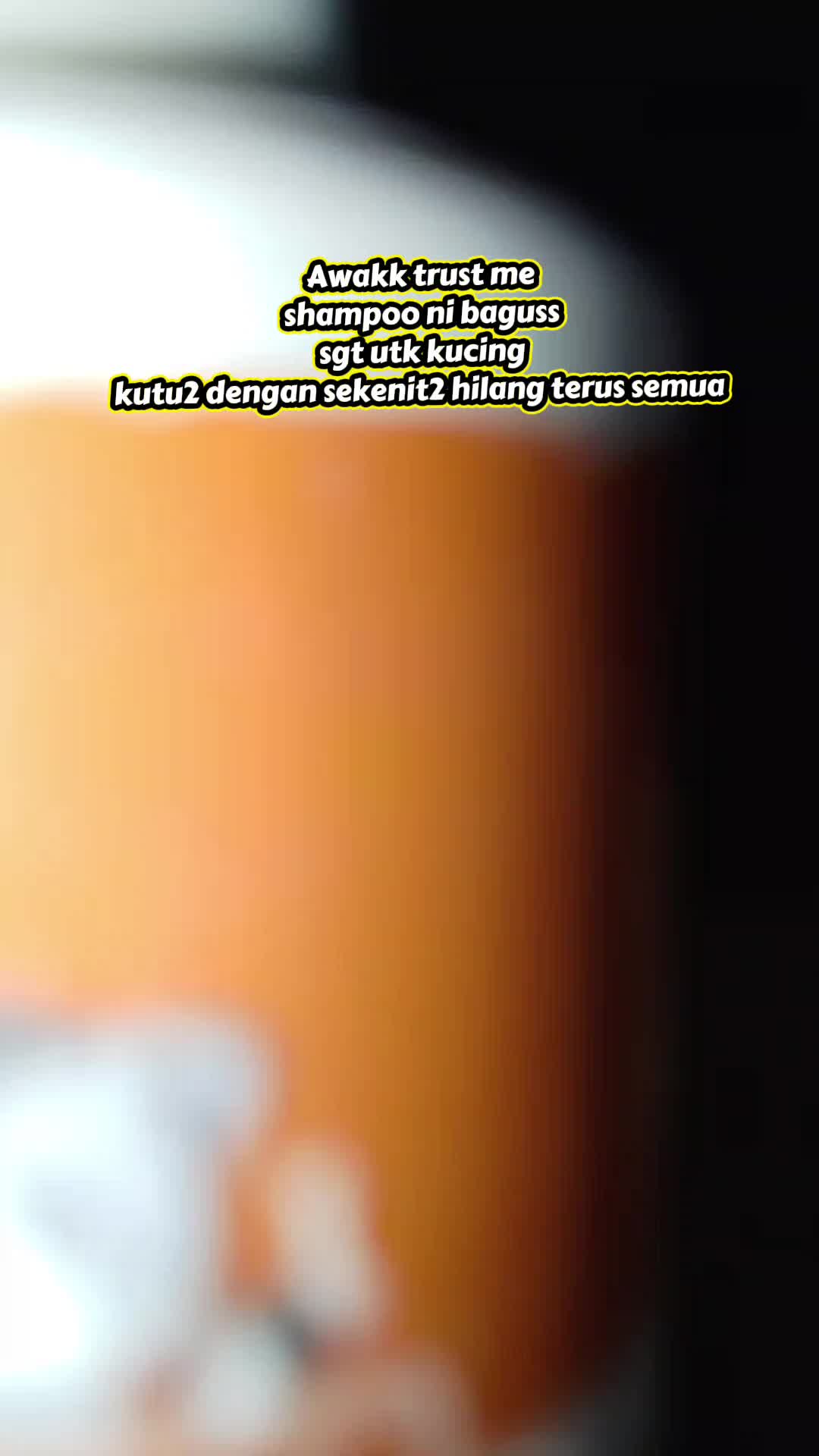 @Mohd AmsyaR