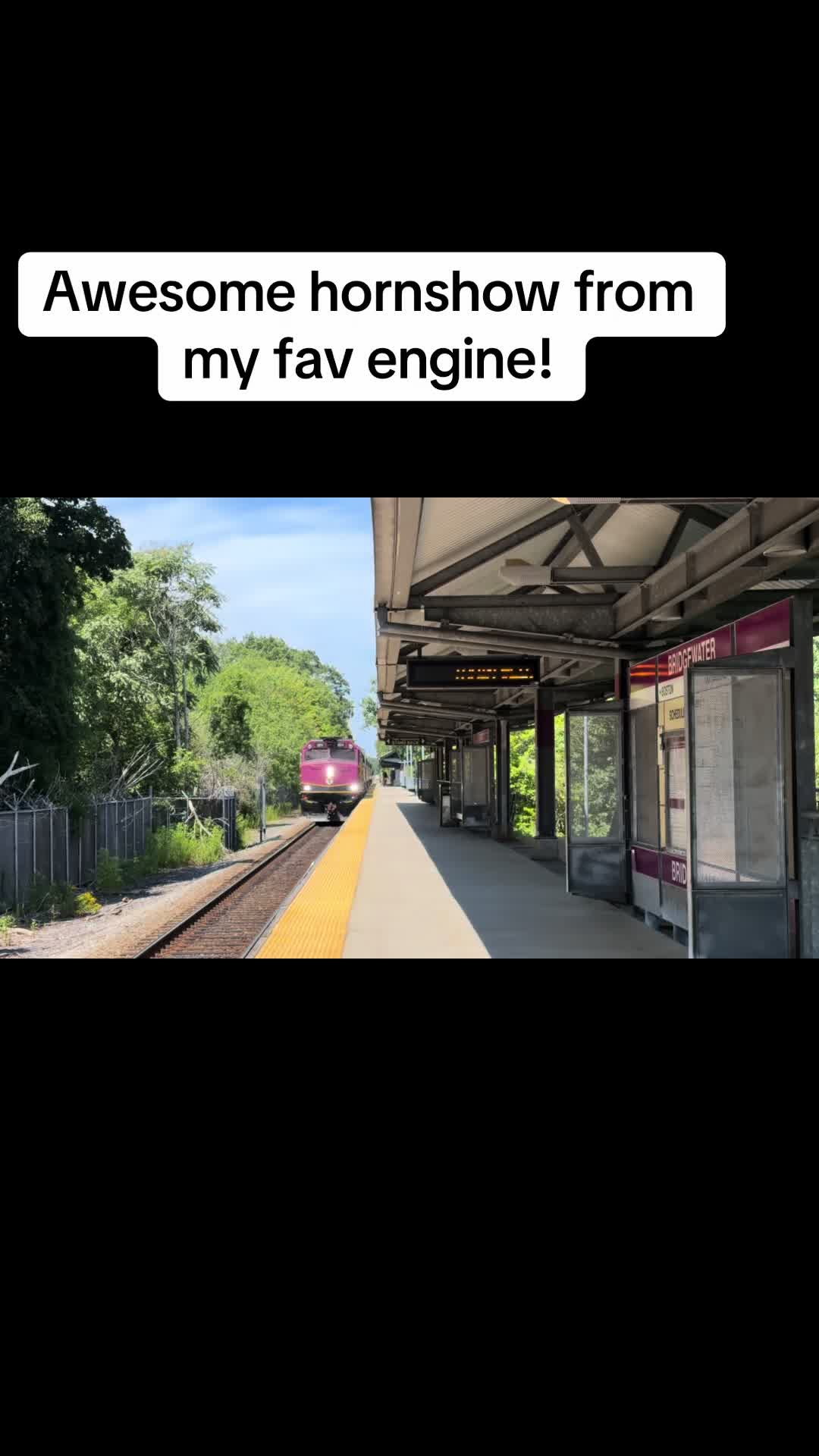 @Lucinibuses.4u